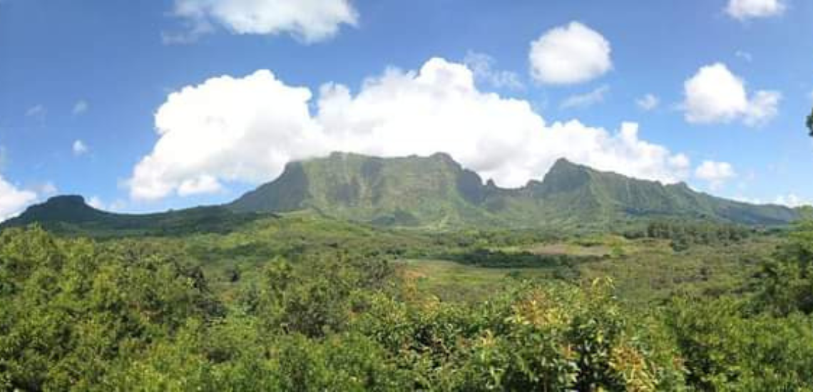 https://tahititourisme.jp/wp-content/uploads/2023/02/SmileWithWilly_photocouverture_1140x550px.png