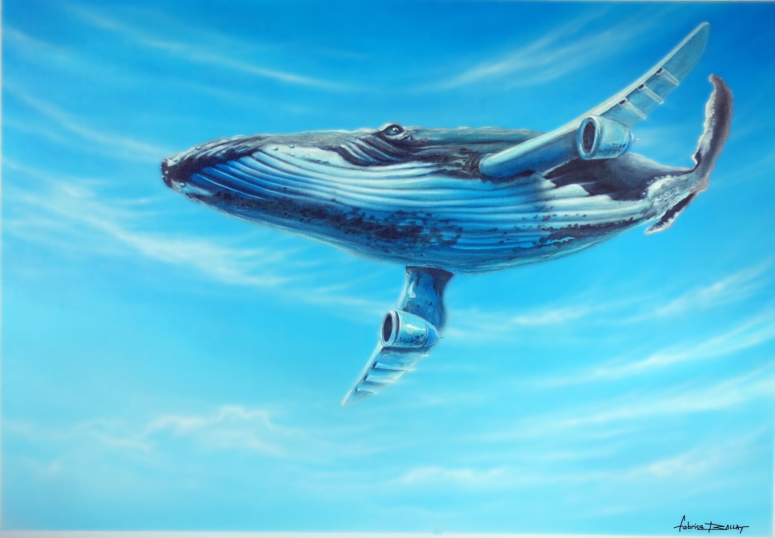 https://tahititourisme.jp/wp-content/uploads/2024/02/baleine_volante-min-scaled.jpg